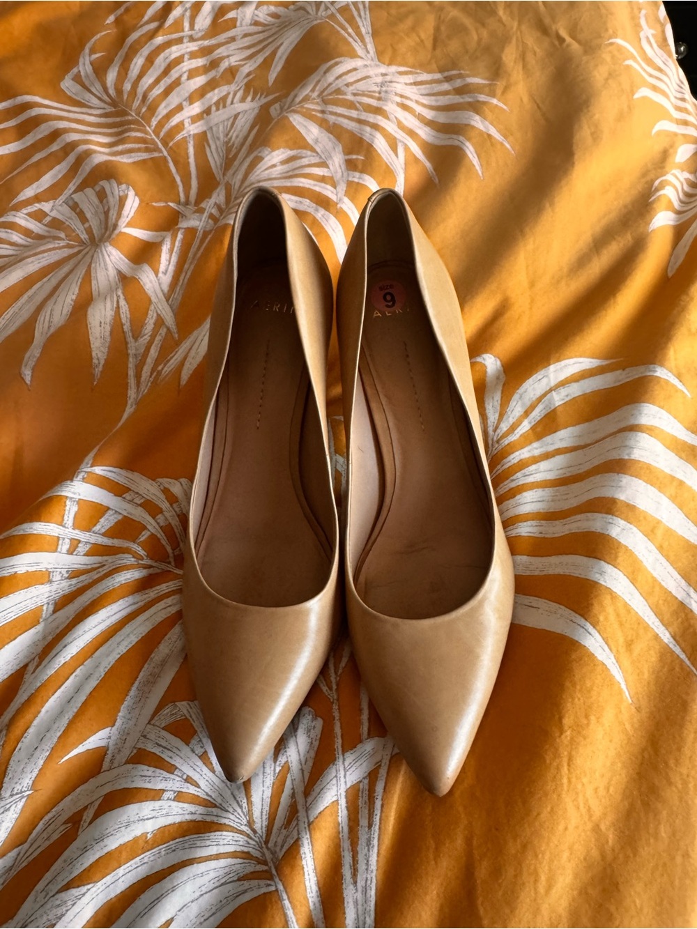 Aerin Women's Pointed-Toe Stiletto Pumps in Tan